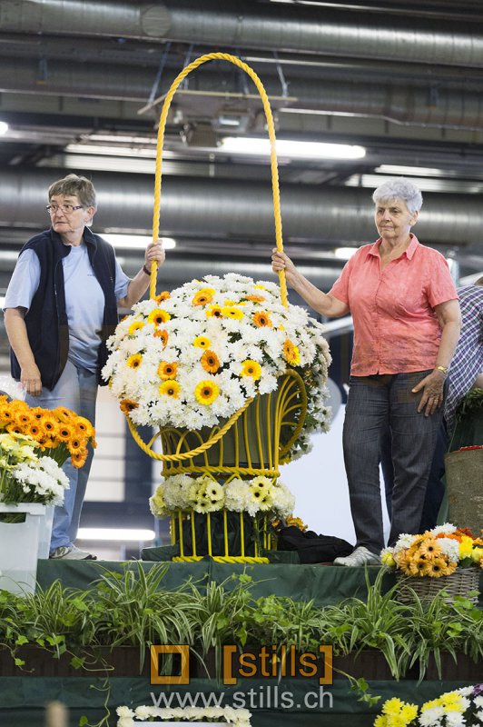 Fête des Narcisses 2015